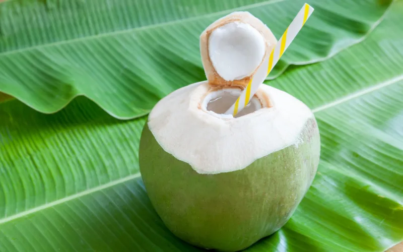 COCO NATURAL GELADO